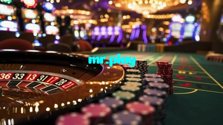 mr.play